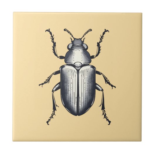 Schwarzkäfer Fliese (Vorderseite)