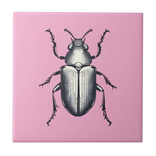 Schwarzkäfer Fliese (Vorderseite)