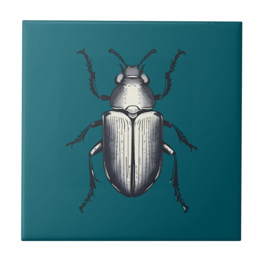 Schwarzkäfer Fliese (Vorderseite)