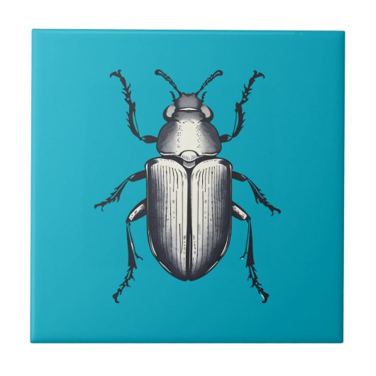 Schwarzkäfer Fliese (Vorderseite)