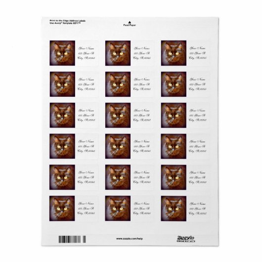 Schwarzkatze Adressaufkleber (Vorne)