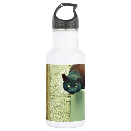 Schwarzkatze Edelstahlflasche (Vorderseite)