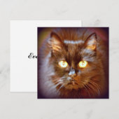 Schwarzkatze Einladung (Vorne/Hinten)