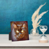 Schwarzkatze Fotoplatte (InSitu)