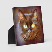 Schwarzkatze Fotoplatte (Vorderseite)