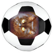 Schwarzkatze Fußball (Gedreht)