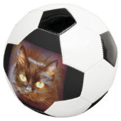 Schwarzkatze Fußball (Dreiviertel)