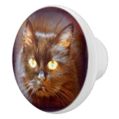 Schwarzkatze Keramikknauf (Rechts)