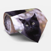 Schwarzkatze Krawatte (Gerollt)