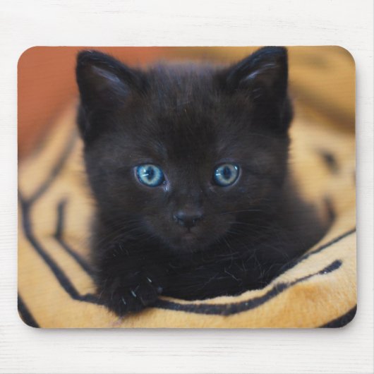 Schwarzkatze Mousepad (Vorne)