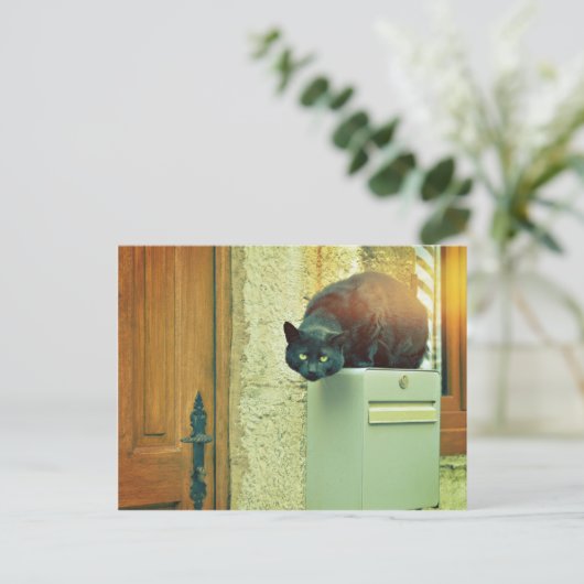 Schwarzkatze Postkarte (Stehend Vorderseite)