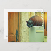 Schwarzkatze Postkarte (Vorne/Hinten)