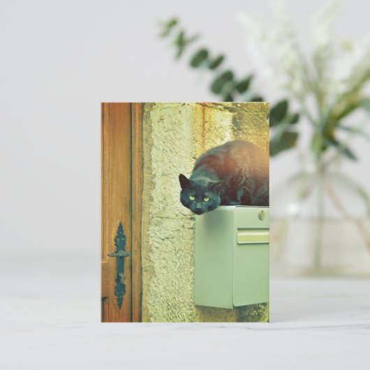 Schwarzkatze Postkarte (Stehend Vorderseite)