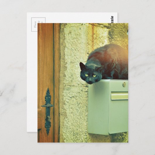 Schwarzkatze Postkarte (Vorne/Hinten)