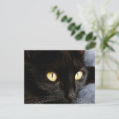 Schwarzkatze Postkarte (Stehend Vorderseite)