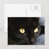 Schwarzkatze Postkarte (Vorne/Hinten)