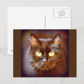 Schwarzkatze Postkarte (Vorne/Hinten)