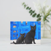 Schwarzkatze-Streukatze Postkarte (Stehend Vorderseite)