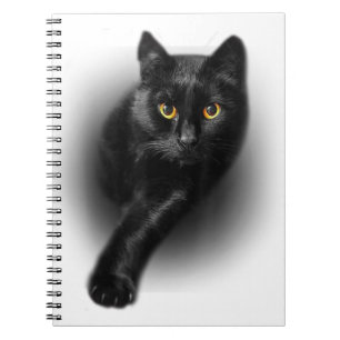 Schwarzkatzengelbe Augen Katzen Notizblock