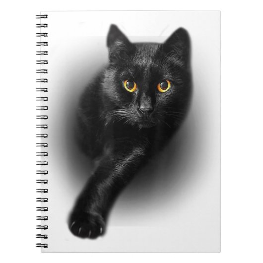 Schwarzkatzengelbe Augen Katzen Notizblock (Vorderseite)