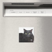 Schwarzkatzenmagnet Magnet (In Situ (Geschirrspüler))