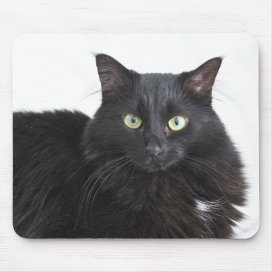 Schwarzkatzenmousepad Mousepad (Vorne)