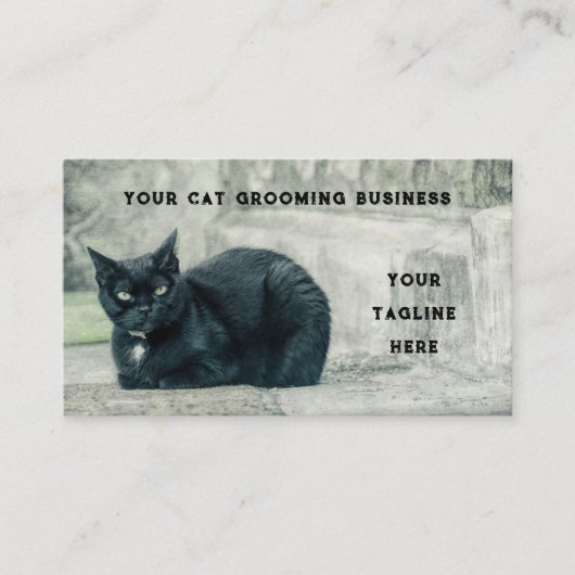 Schwarzkatzenpflege Visitenkarte (Vorderseite)