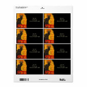 Schwarzkatzenturnee (Vorne)