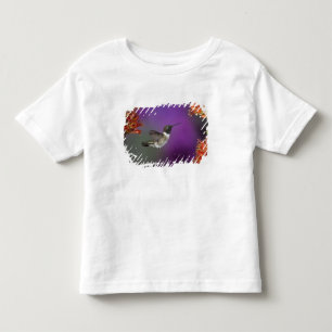 Schwarzkehlnymphe, Archilochus alexandri, Kleinkind T-shirt