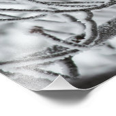 Schwarzkichadelle Fotodruck (Ecke)