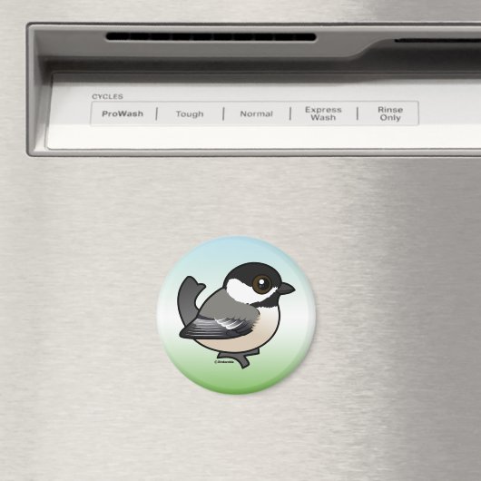 Schwarzkichadelle Magnet (In Situ (Geschirrspüler))