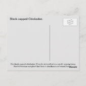 Schwarzkichadelle Postkarte (Rückseite)