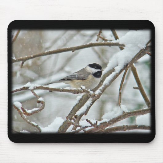 Schwarzkichererbse im Schneesturm Mousepad (Vorne)