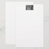 Schwarzkichererbse - Songbird Briefpapier (Vorne/Hinten)