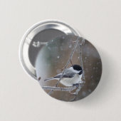 Schwarzkichererbse - Songbird Button (Vorne & Hinten)