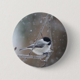 Schwarzkichererbse - Songbird Button