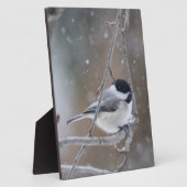 Schwarzkichererbse - Songbird Fotoplatte (Seite)