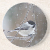 Schwarzkichererbse - Songbird Sandstein Untersetzer (Vorne)