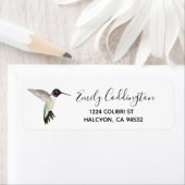 Schwarzkinniger Hummingbird (Insitu)