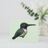 Schwarzkinniger Hummingbird Postkarte (Stehend Vorderseite)