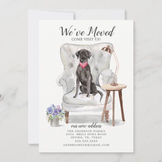 Schwarzkleckhund | Ankündigung der Beförderung (Vorderseite)