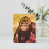 Schwarzkopfaffe Postkarte (Stehend Vorderseite)