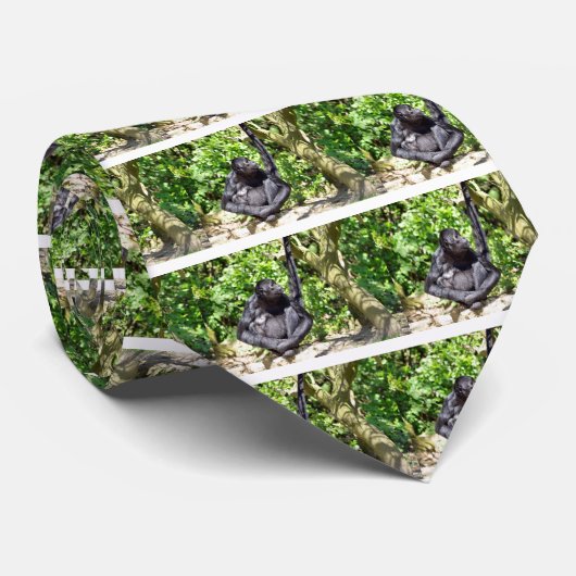 Schwarzkopfaffen Krawatte (Gerollt)
