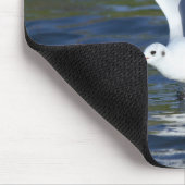 Schwarzköpfige Möve Mousepad (Ecke)