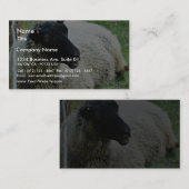 Schwarzköpfige Schafe auf Gras Visitenkarte (Vorne/Hinten)