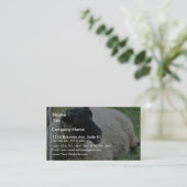 Schwarzköpfige Schafe auf Gras Visitenkarte (Stehend Vorderseite)