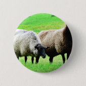 Schwarzköpfige Schafe Button (Vorderseite)