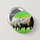 Schwarzköpfige Schafe Button (Vorne & Hinten)