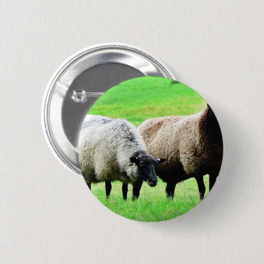 Schwarzköpfige Schafe Button (Vorne & Hinten)