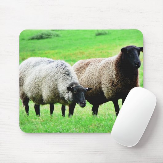 Schwarzköpfige Schafe Mousepad (Mit Mouse)